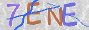 CAPTCHA 驗證圖片