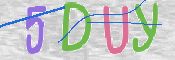 CAPTCHA 驗證圖片