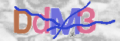 CAPTCHA 驗證圖片