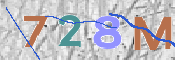 CAPTCHA 驗證圖片