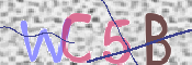 CAPTCHA 驗證圖片