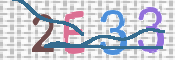 CAPTCHA 驗證圖片