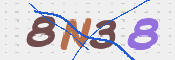 CAPTCHA 驗證圖片