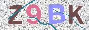 CAPTCHA 驗證圖片