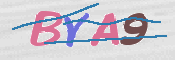 CAPTCHA 驗證圖片