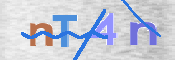 CAPTCHA 驗證圖片
