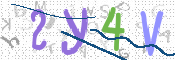 CAPTCHA 驗證圖片