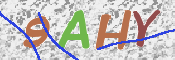 CAPTCHA 驗證圖片