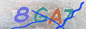 CAPTCHA 驗證圖片