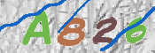 CAPTCHA 驗證圖片