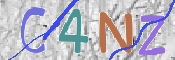 CAPTCHA 驗證圖片