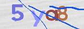 CAPTCHA 驗證圖片