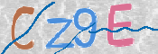 CAPTCHA 驗證圖片
