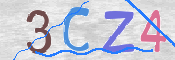 CAPTCHA 驗證圖片