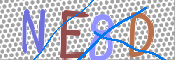 CAPTCHA 驗證圖片