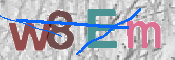 CAPTCHA 驗證圖片