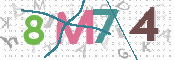CAPTCHA 驗證圖片