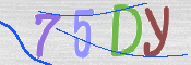 CAPTCHA 驗證圖片