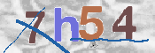 CAPTCHA 驗證圖片