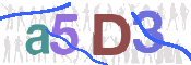 CAPTCHA 驗證圖片