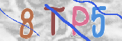 CAPTCHA 驗證圖片