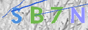 CAPTCHA 驗證圖片