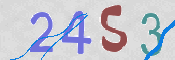 CAPTCHA 驗證圖片