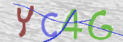 CAPTCHA 驗證圖片