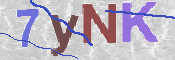 CAPTCHA 驗證圖片