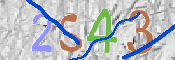 CAPTCHA 驗證圖片