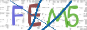 CAPTCHA 驗證圖片