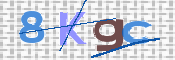 CAPTCHA 驗證圖片