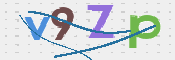 CAPTCHA 驗證圖片