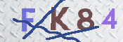 CAPTCHA 驗證圖片