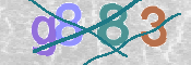 CAPTCHA 驗證圖片