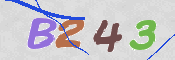 CAPTCHA 驗證圖片