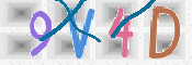 CAPTCHA 驗證圖片