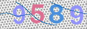 CAPTCHA 驗證圖片