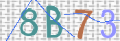 CAPTCHA 驗證圖片