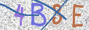 CAPTCHA 驗證圖片