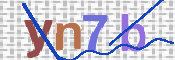 CAPTCHA 驗證圖片
