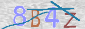 CAPTCHA 驗證圖片