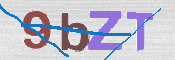 CAPTCHA 驗證圖片