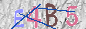 CAPTCHA 驗證圖片