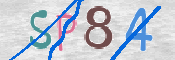 CAPTCHA 驗證圖片