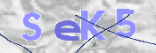 CAPTCHA 驗證圖片