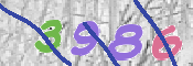 CAPTCHA 驗證圖片