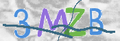 CAPTCHA 驗證圖片