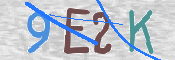 CAPTCHA 驗證圖片