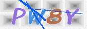 CAPTCHA 驗證圖片